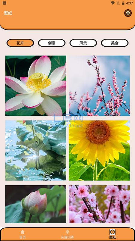 超能王国游戏截图4