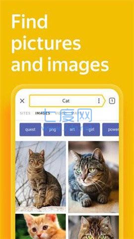 Yandex搜索引擎截图1