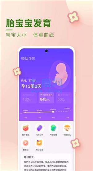她抚孕育图1
