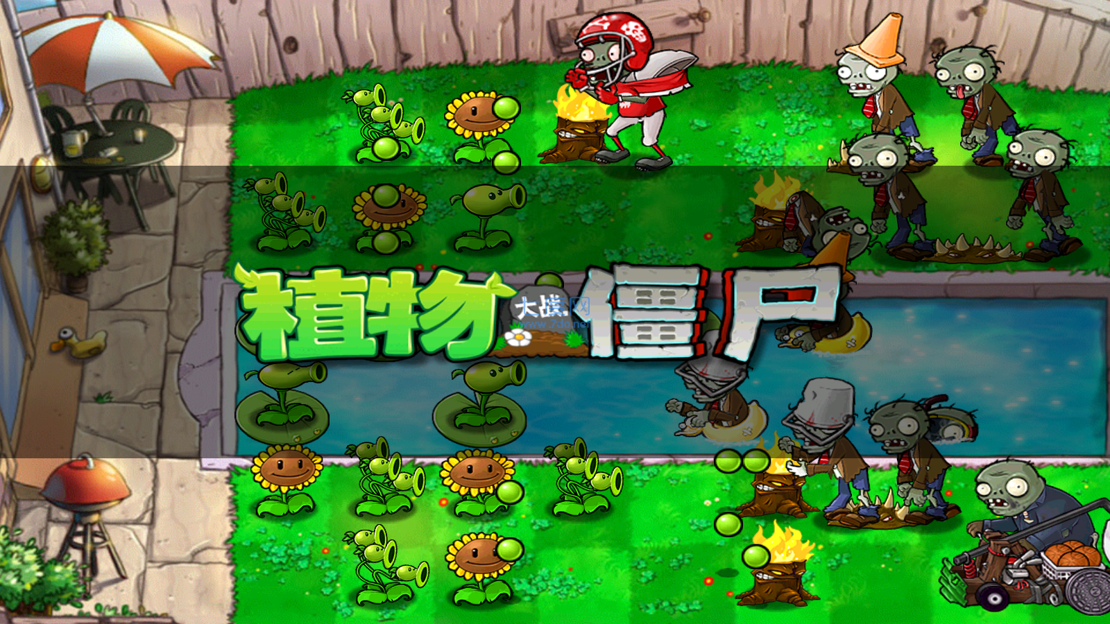 植物大战僵尸单机版安卓版图2