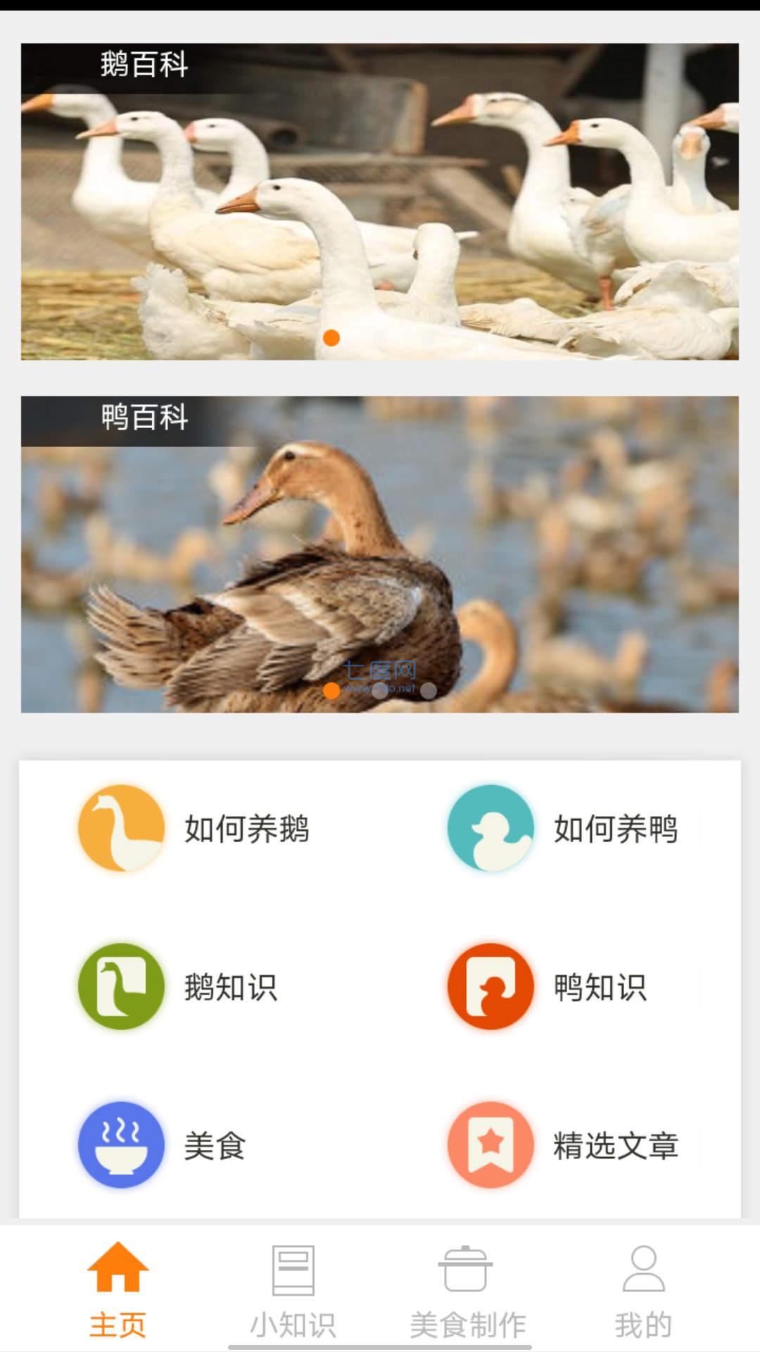 鹅鸭之家app最新版图4