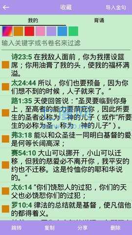 精读圣经下载免费第4张截图