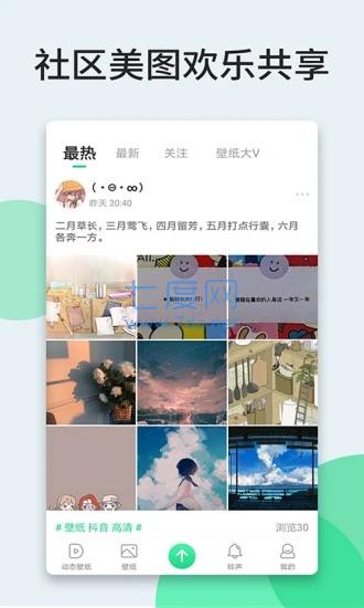 壁纸多多APP安卓版图3