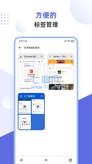 狐猴浏览器app