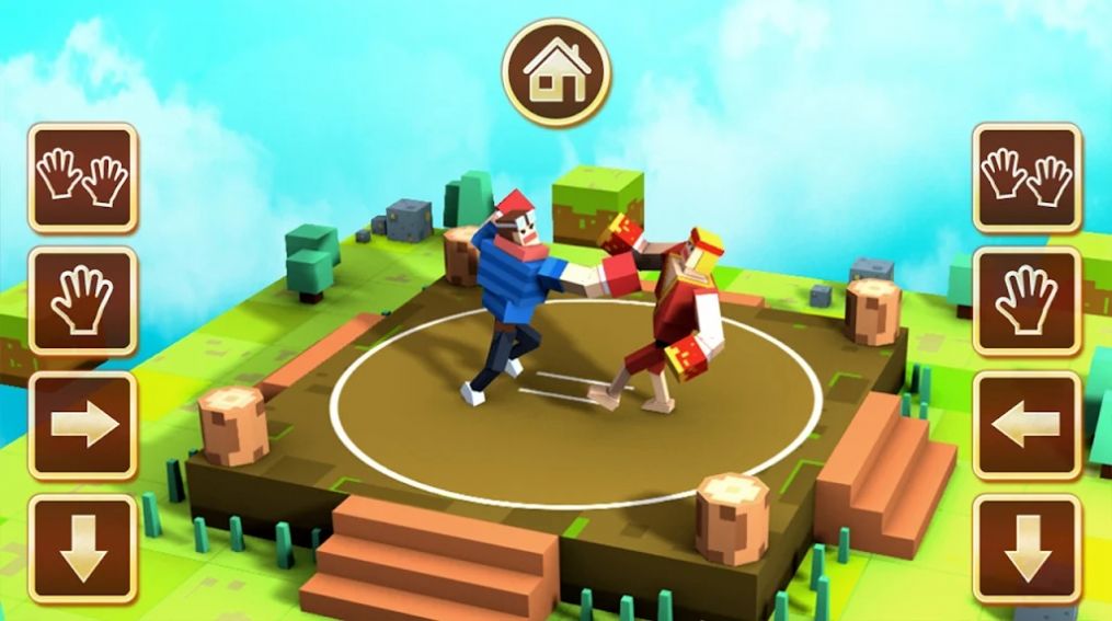 Funny Sumo-Amusing Game