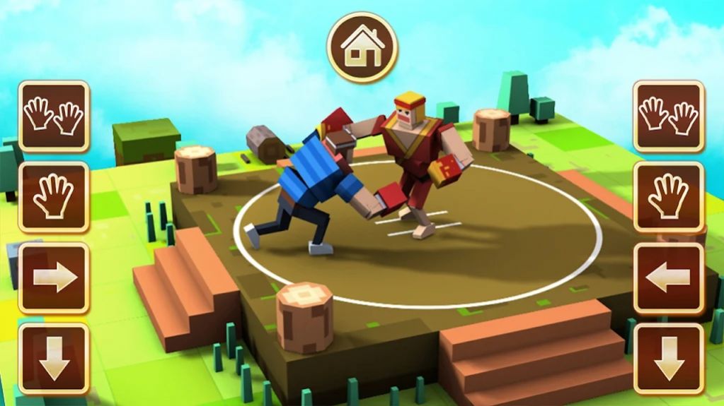 Funny Sumo-Amusing Game