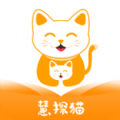 慧探猫图标