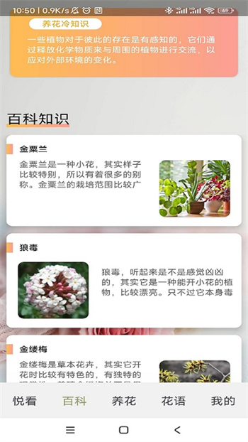 四季养花图2