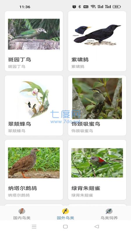鸭鸭的世界图1