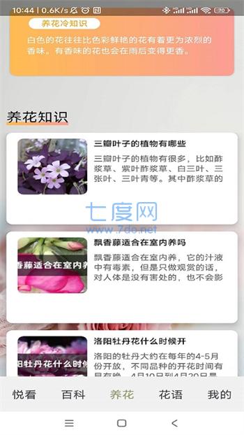 四季养花图1