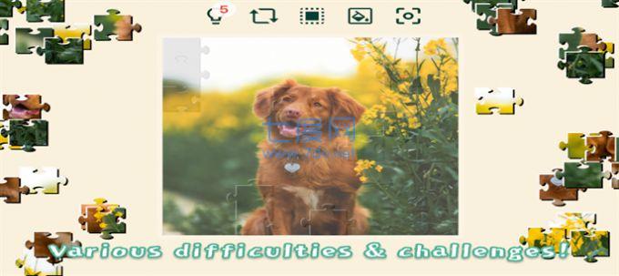 宠物狗狗的拼图挑战截图4