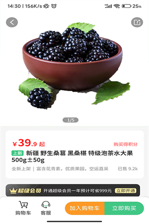 轩果陶图1