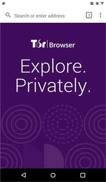 TorBrowser图3