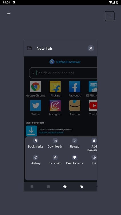 图1