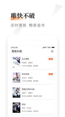 黑莓小说图2