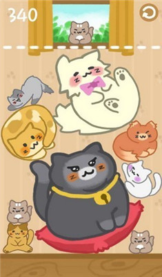 合并小猫咪图3