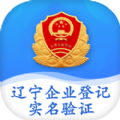 辽宁企业登记实名验证安卓版图标