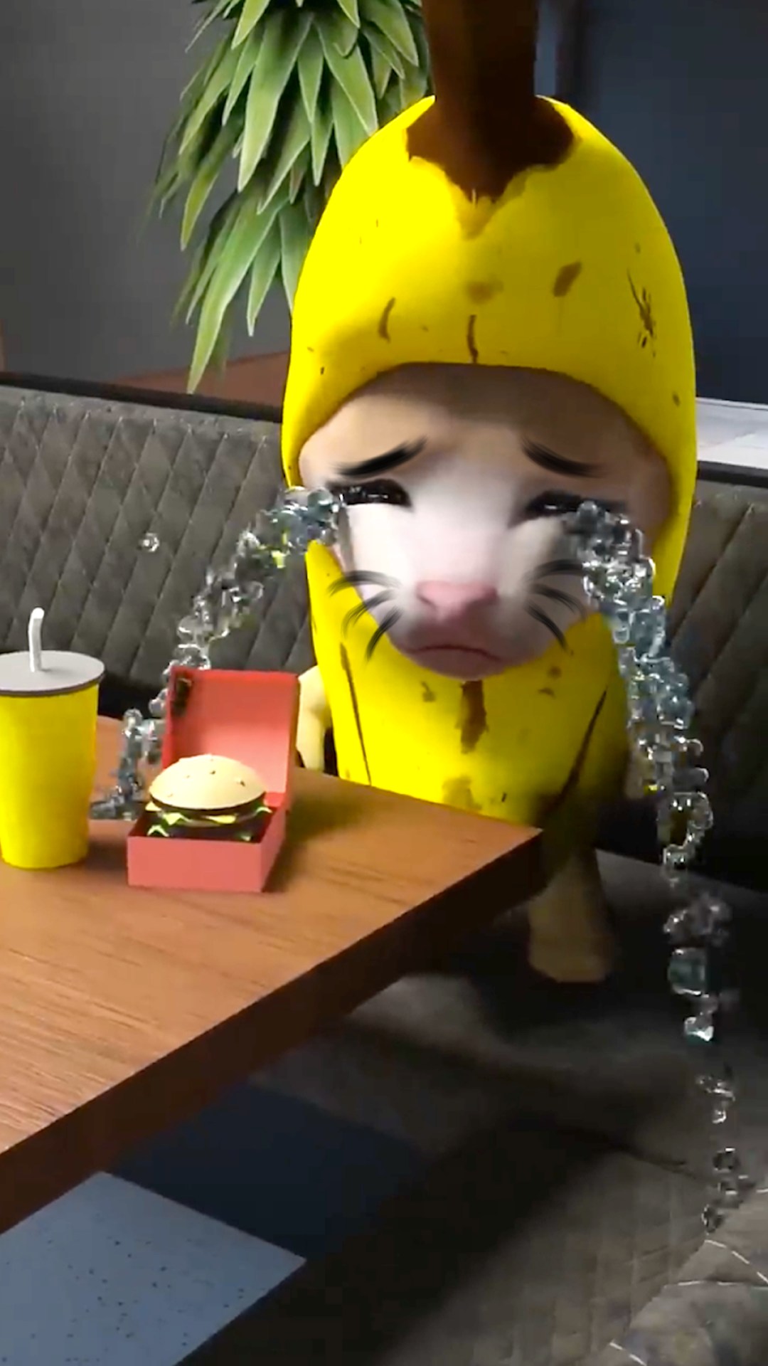 香蕉猫大作战图1