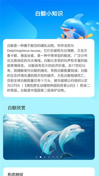 白鲸流量图2