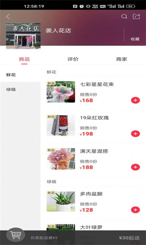 小白杨图3