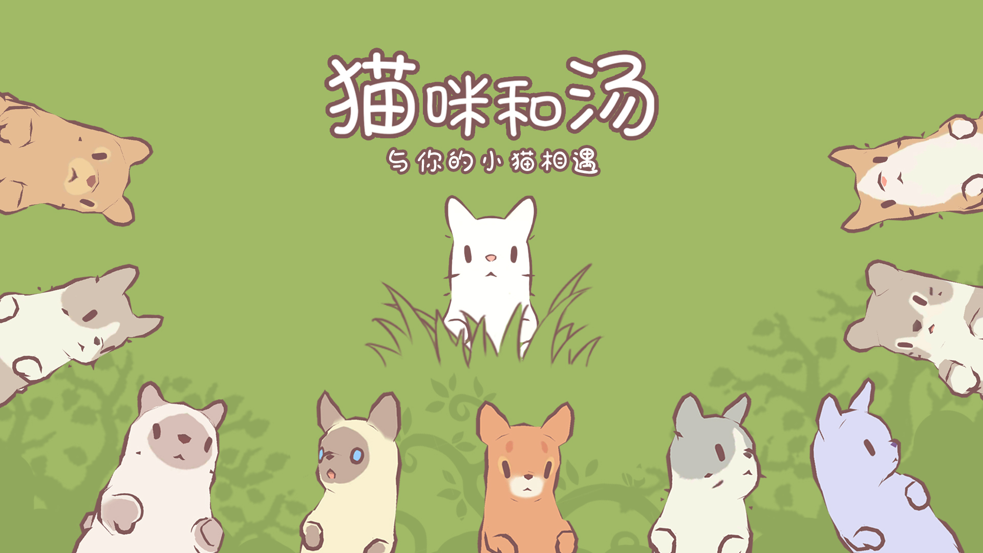 猫咪和汤免广告内置菜单版图1