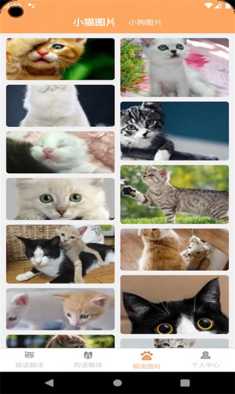 喜晟猫狗翻译图2
