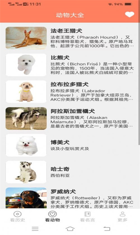 聚看精灵图1