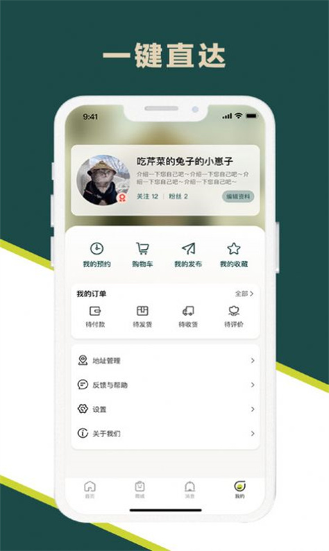 玉兰之城图2