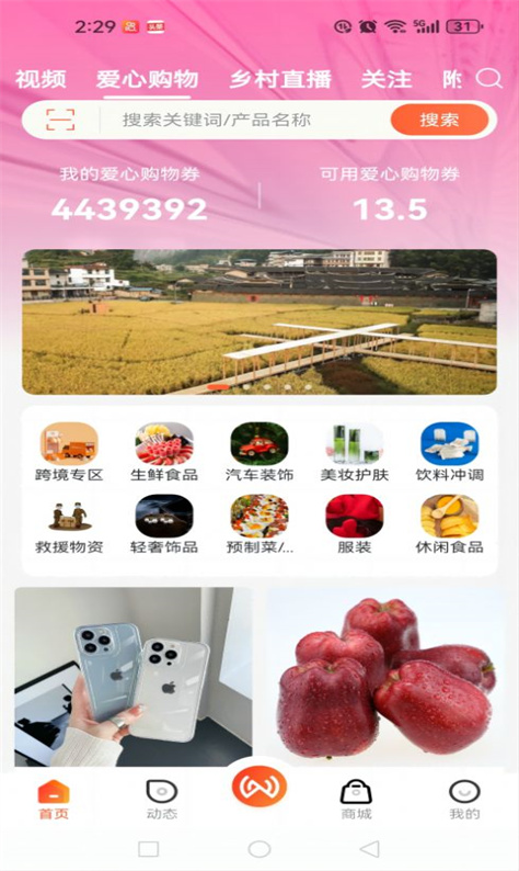 中网世界图2