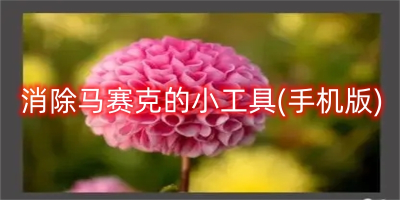 消除马赛克的小工具(手机版)