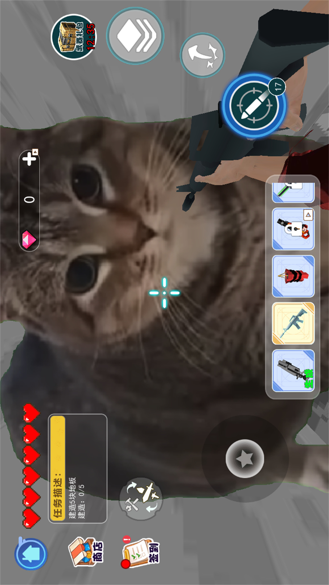 猫咪一起挤图1
