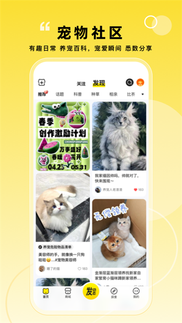 宠胖胖app图3