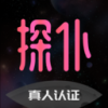 探仆