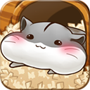 仓鼠的日常Hamster Life