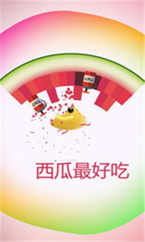 小鸡战斗1.0图2