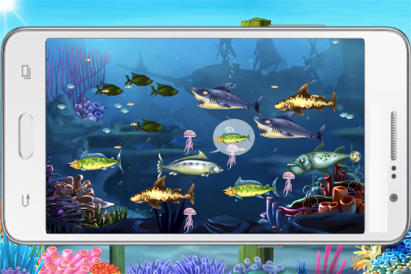 大鱼吃小鱼BigFishEatSmallFish图3