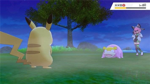 精灵宝可梦剑盾图3