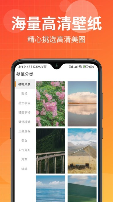 壁纸盒子图4