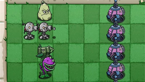 pvzbt图2