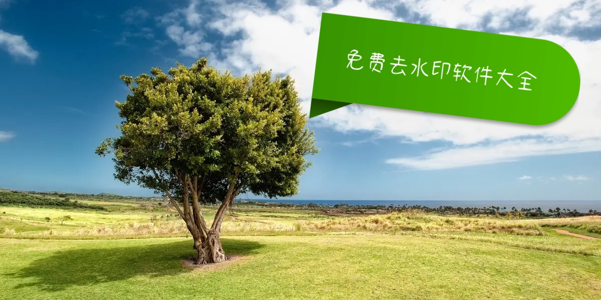 免费去水印软件大全图标