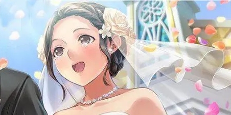 可以娶很多老婆的游戏图标