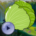 卷心菜捕手图标