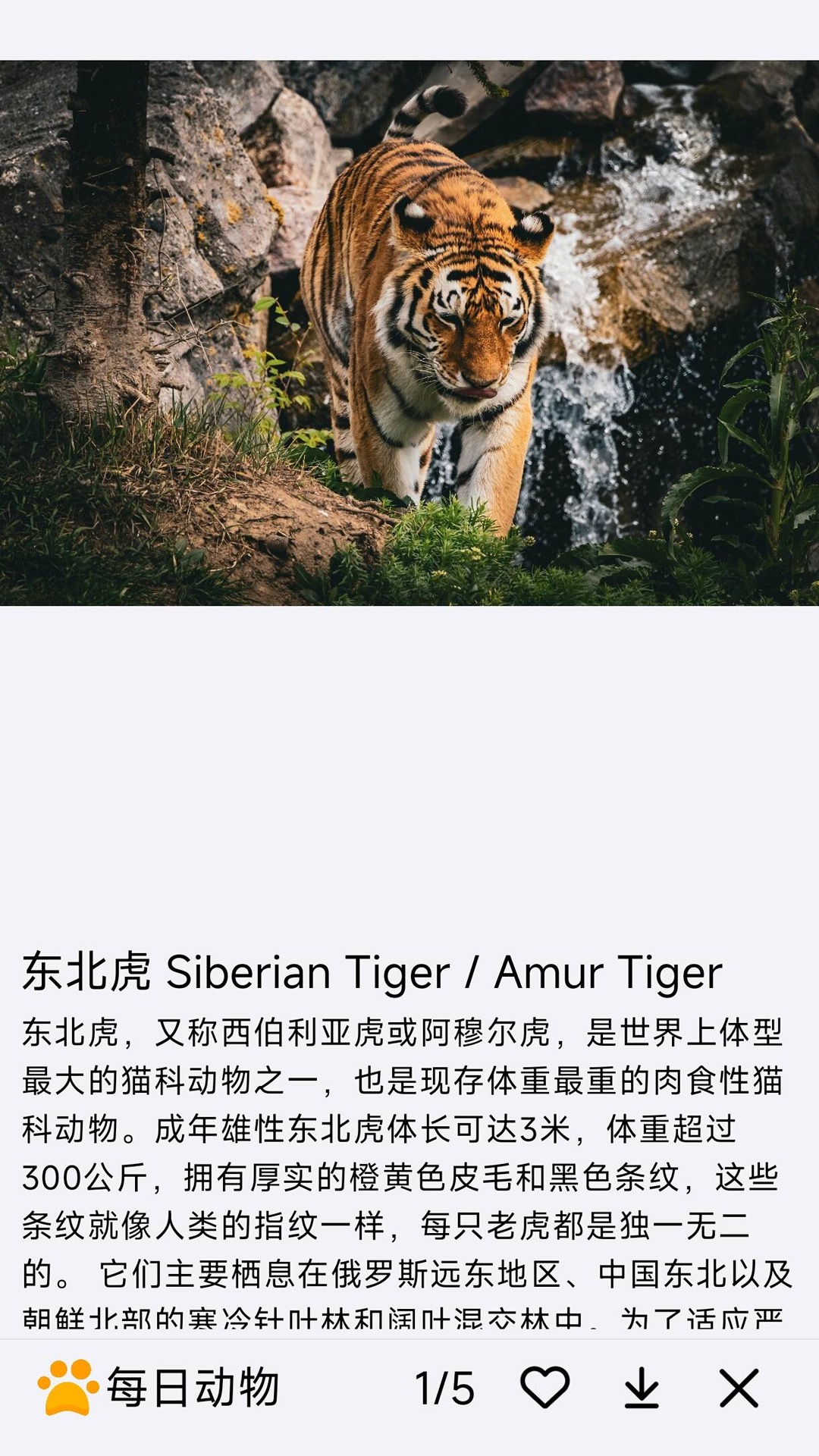 截图5