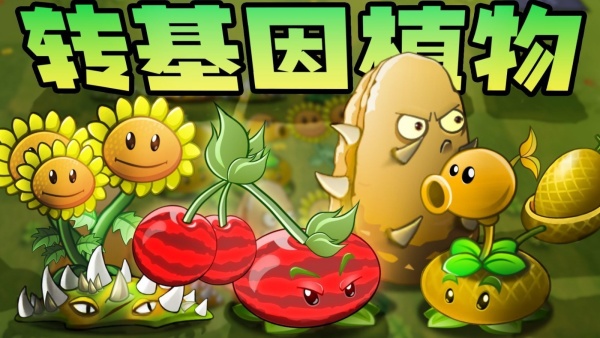 植物大战僵尸转基因版图3