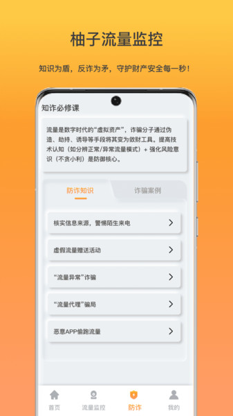 柚子流量监控app图3