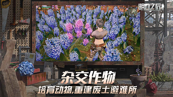 明日之后图3