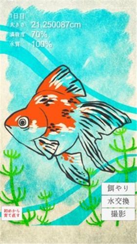 金魚育成游戏