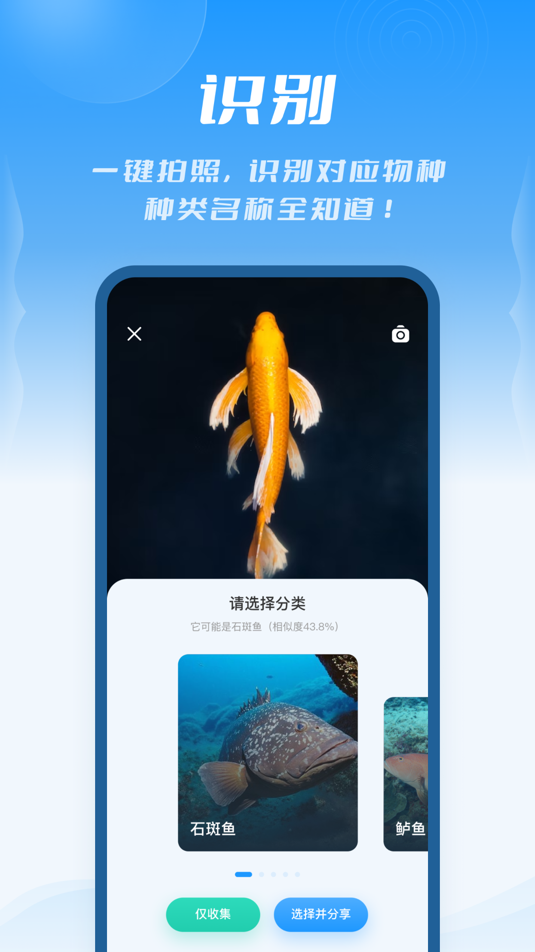 问鱼app图4