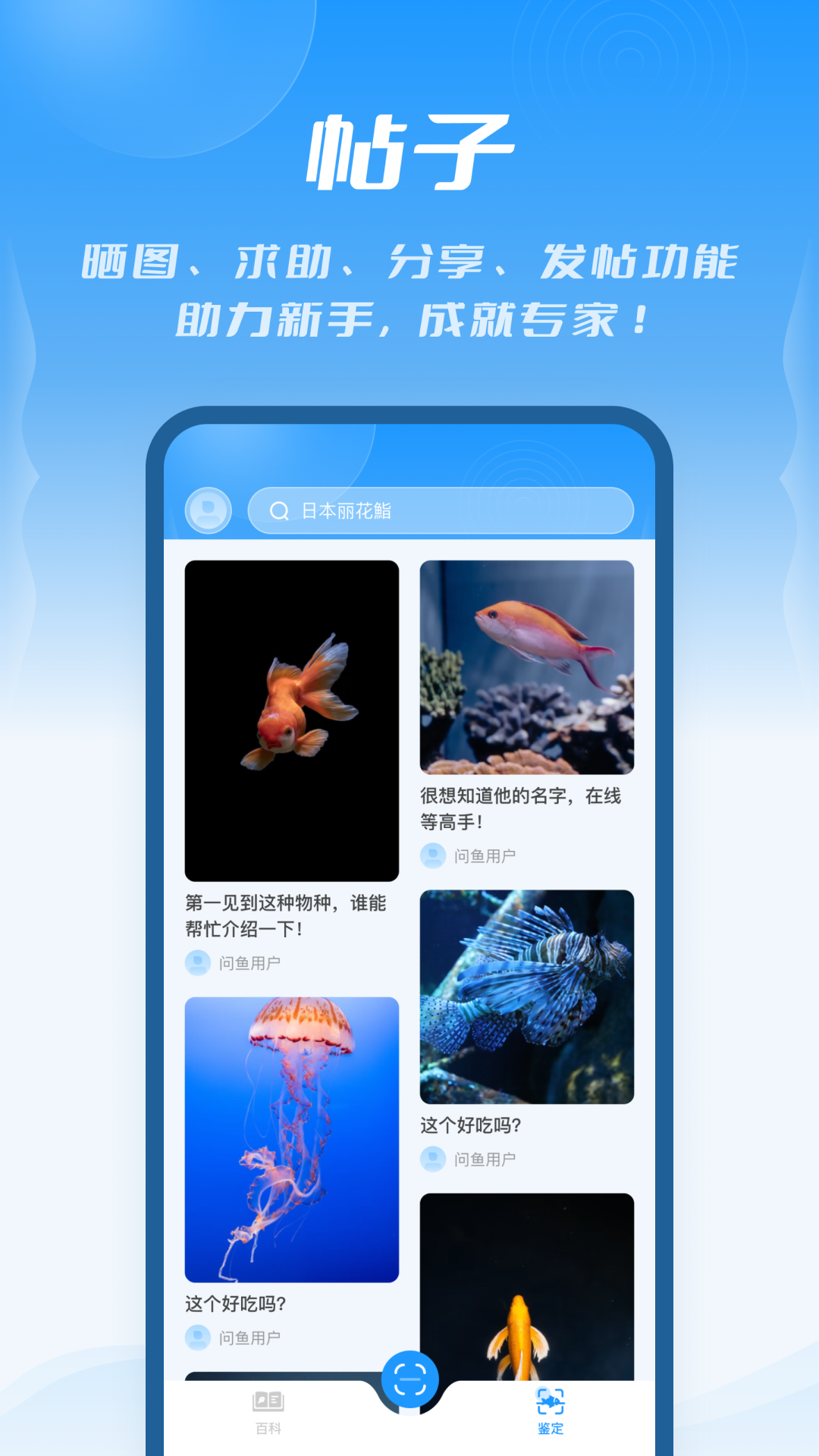 问鱼app图2