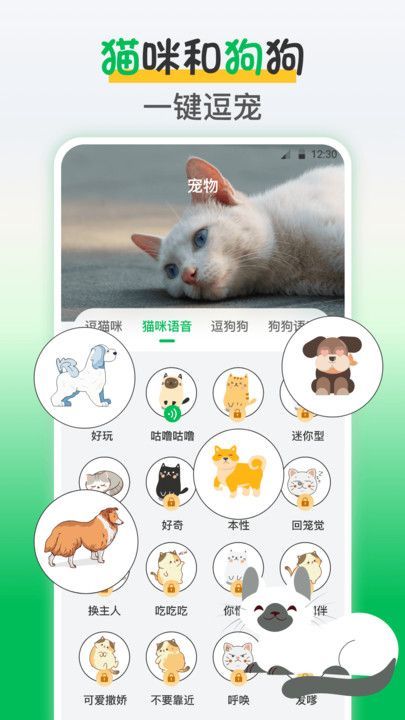 鸟语交流器手机版图2